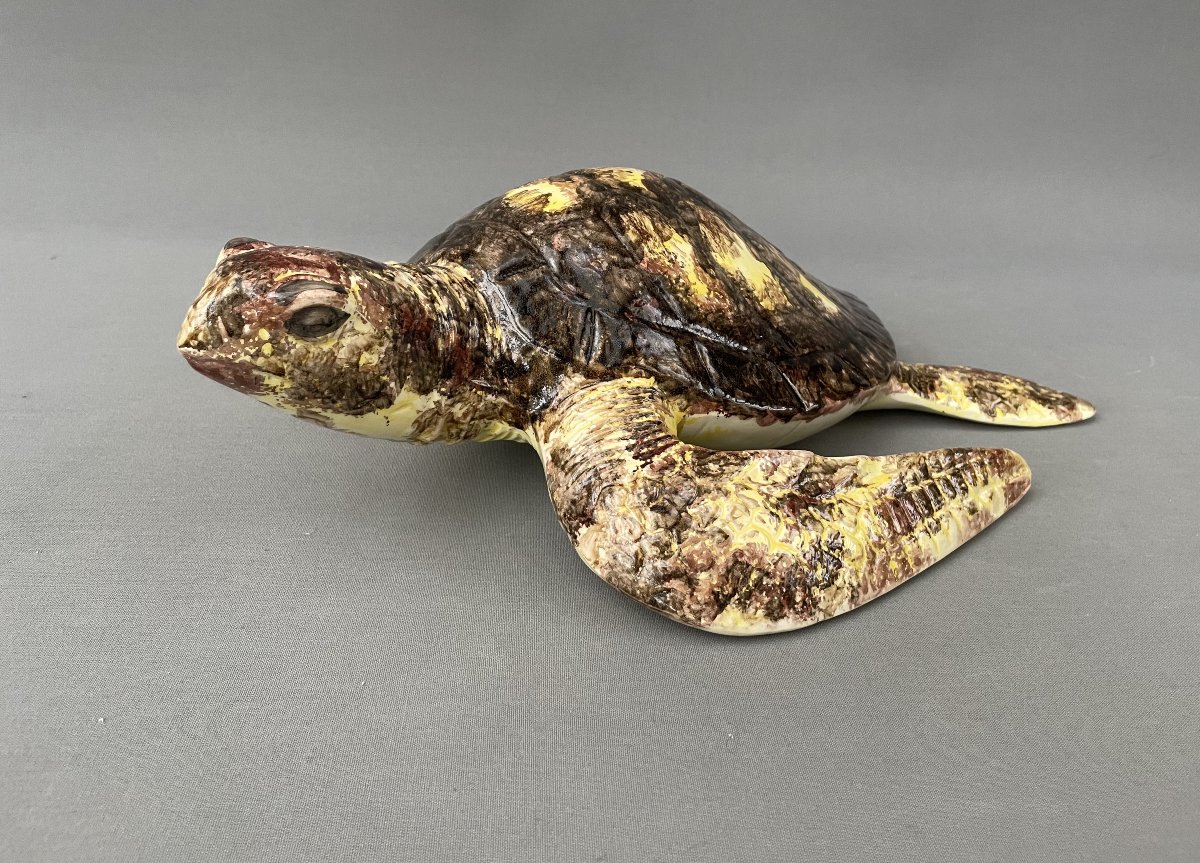 Large Ceramic Turtle-photo-4