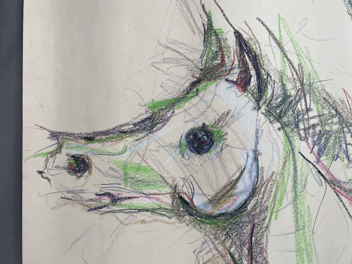 Guerrier à Cheval, Pastel, Grand Format-photo-4