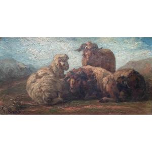 Sheep, Oil On Panel XIXth, Signature To Be Identified