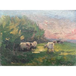 Cows At Sunset, Oil On Cardboard, Signature To Be Identified