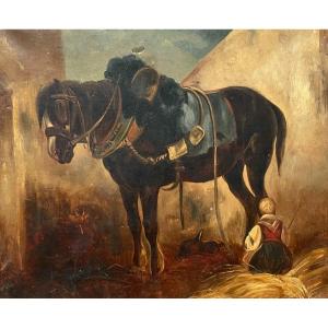 Cheval, Huile Sur Papier XIXe