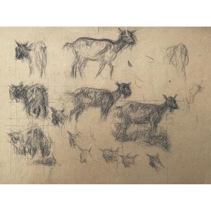 Goats, Drawing Early 20th Century 