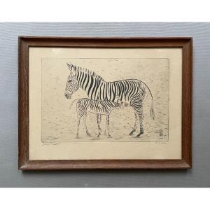 Joseph Hecht, Zebras, Artist's Proof