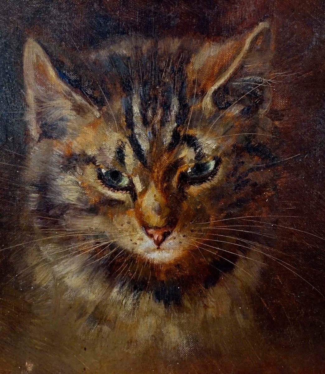 Jerzy Edward Winiartz (1892-1928) - The Cat --photo-3