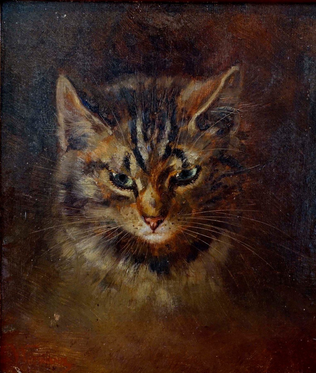 Jerzy Edward Winiartz (1892-1928) - The Cat --photo-5