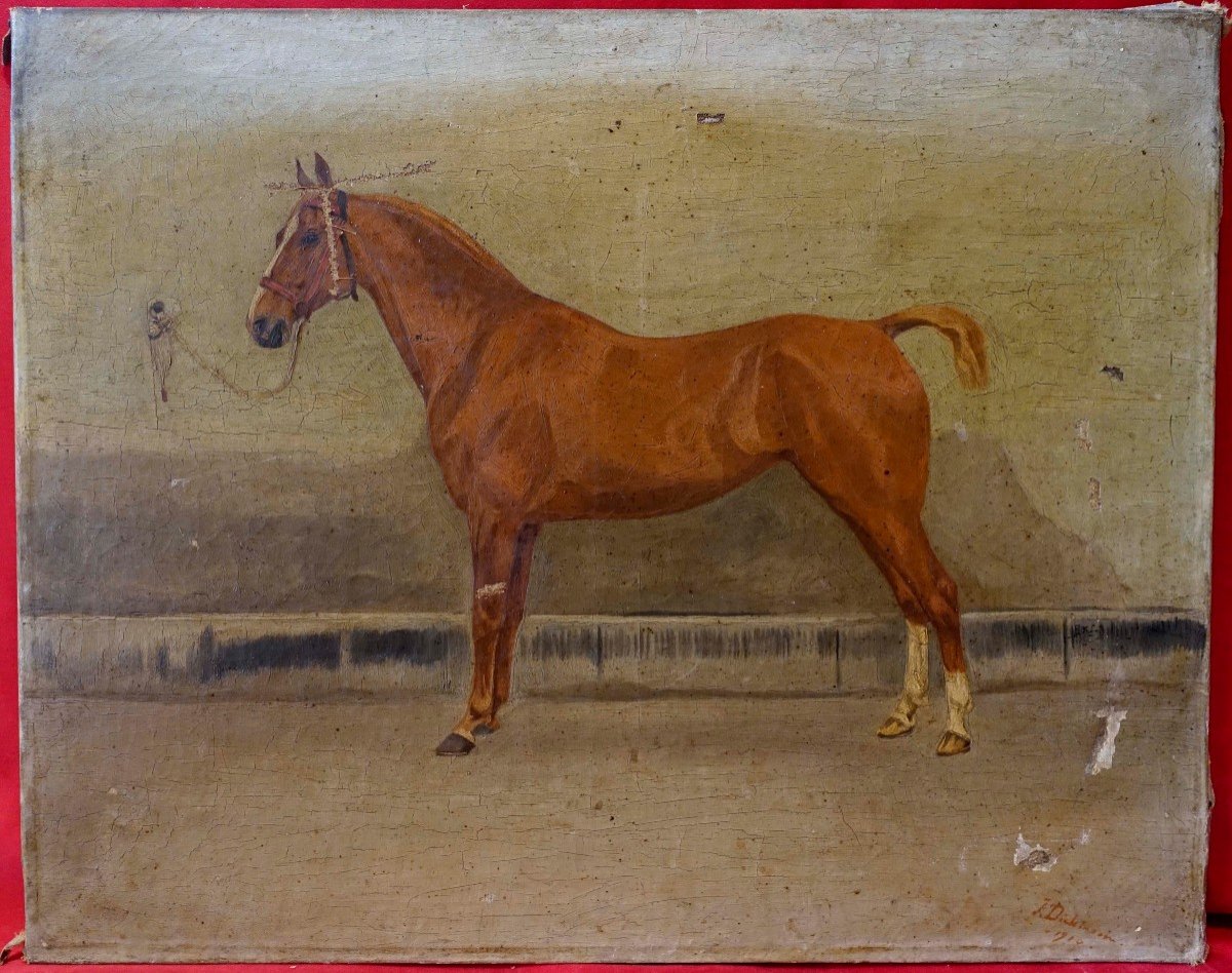 Cheval 1910 - J.dickinson -