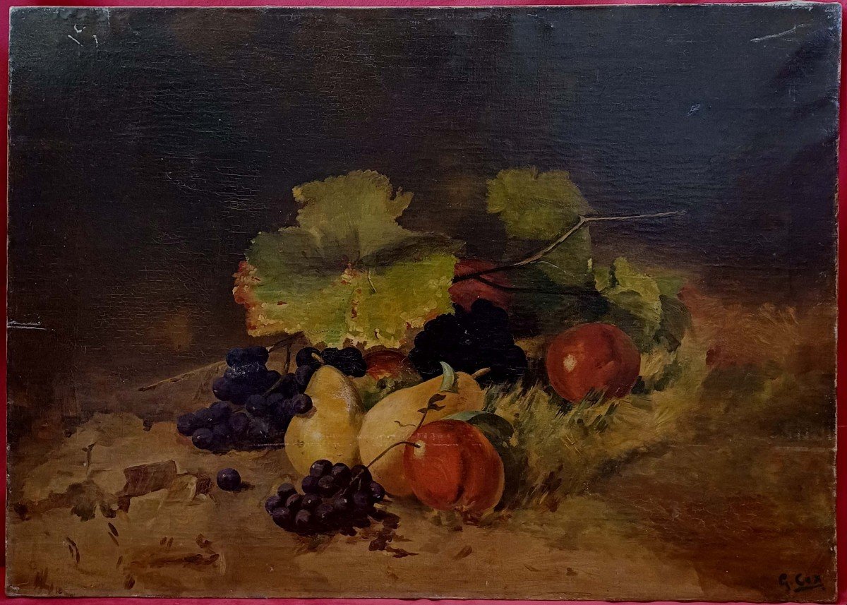 Gerard Cox (1864-1931) - Fruits 1890 - -photo-2