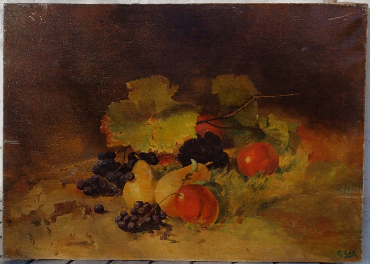 Gerard Cox (1864-1931) - Fruits 1890 - -photo-4