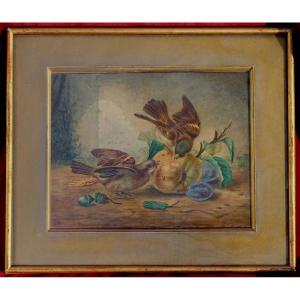 Oiseaux Et Fruits Vers 1860 - 