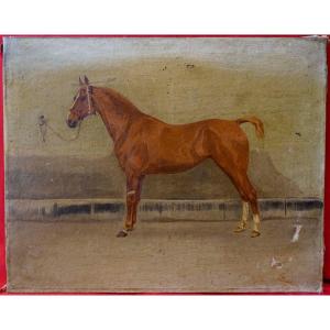 Cheval 1910 - J.dickinson -