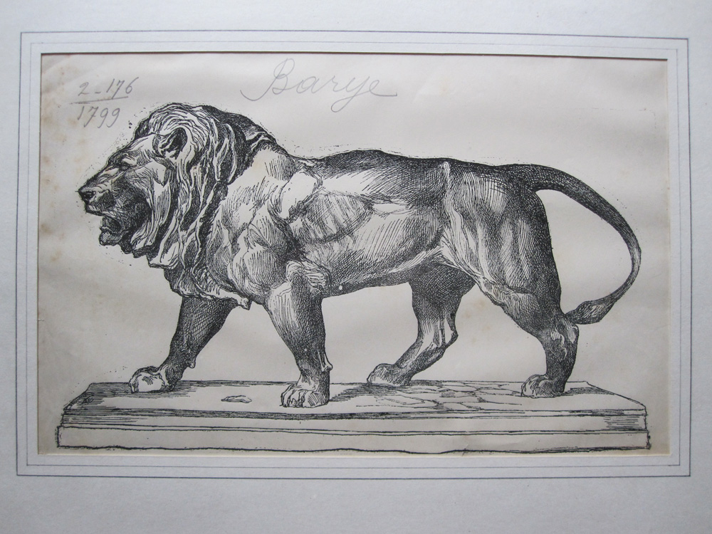 Lion qui marche, gravure de Firmin Gillot d’après ANTOINE LOUIS BARYE, XIXe