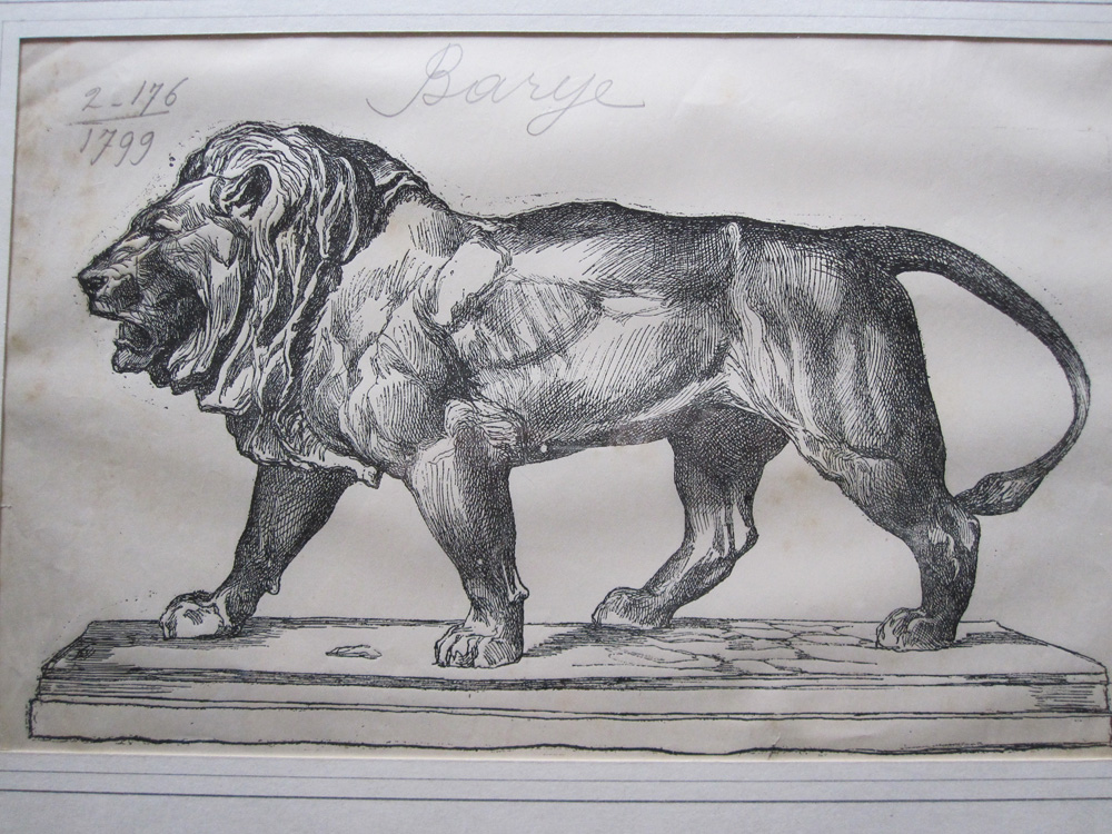 Lion qui marche, gravure de Firmin Gillot d’après ANTOINE LOUIS BARYE, XIXe-photo-4