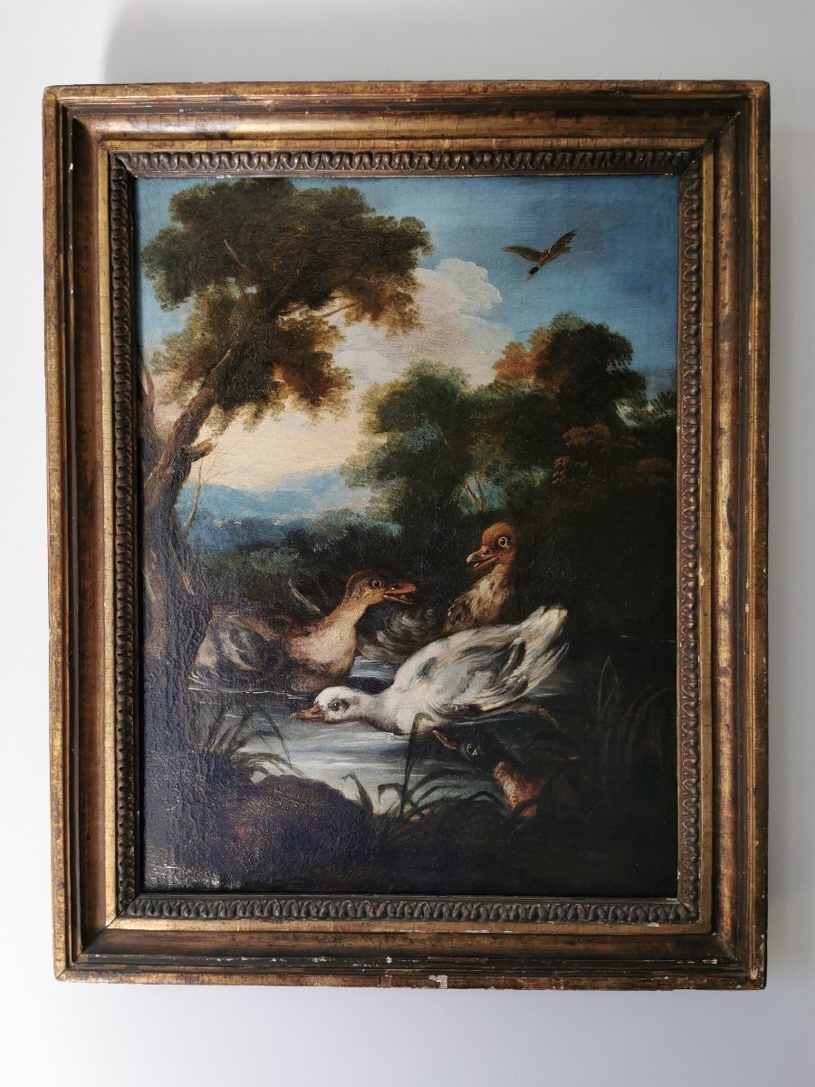 Angelo Maria Crivelli 1662-1730 Attr. à, Canards cygneau col vert sans un paysage de forêt-photo-3