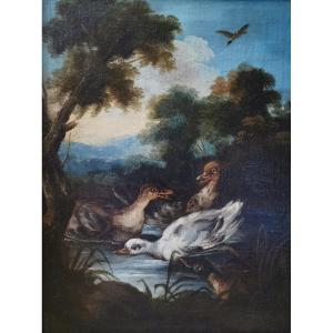 Angelo Maria Crivelli 1662-1730 Attr. à, Canards cygneau col vert sans un paysage de forêt
