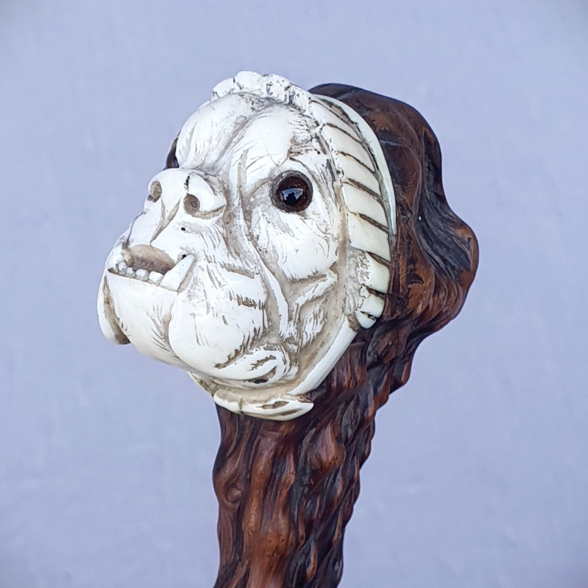 Cane With A Knob Representing A Dog With A Lace Cap, Bloody Medlar Shaft-photo-2