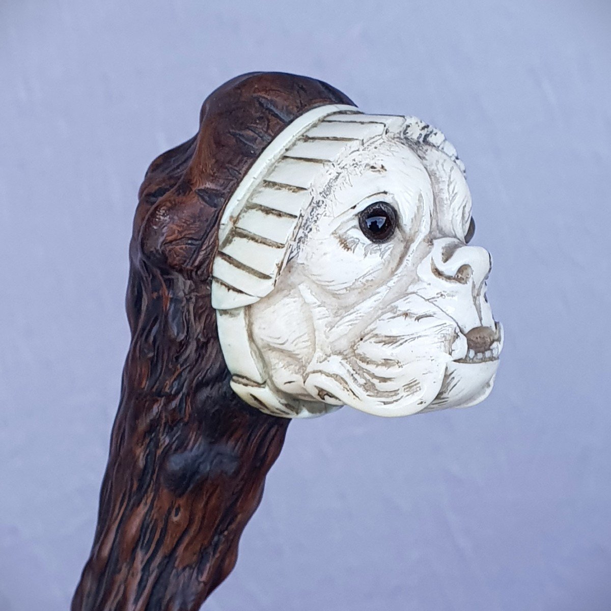 Cane With A Knob Representing A Dog With A Lace Cap, Bloody Medlar Shaft-photo-3