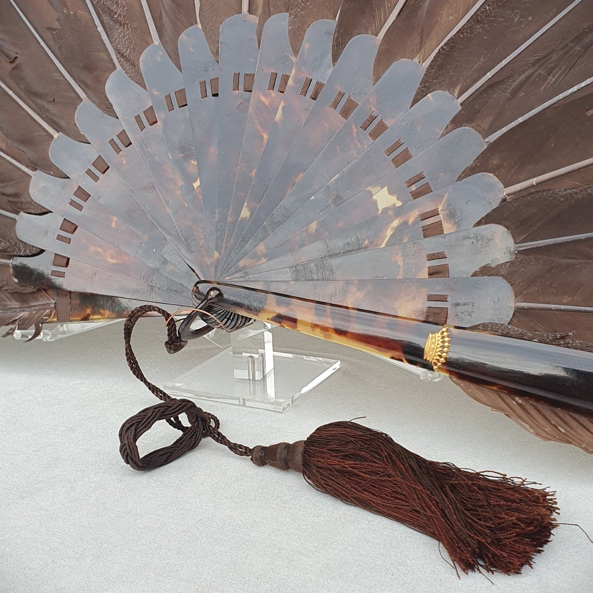 Capercaillie Feather Fan, Gold Count Crown, Circa 1890/1900-photo-4