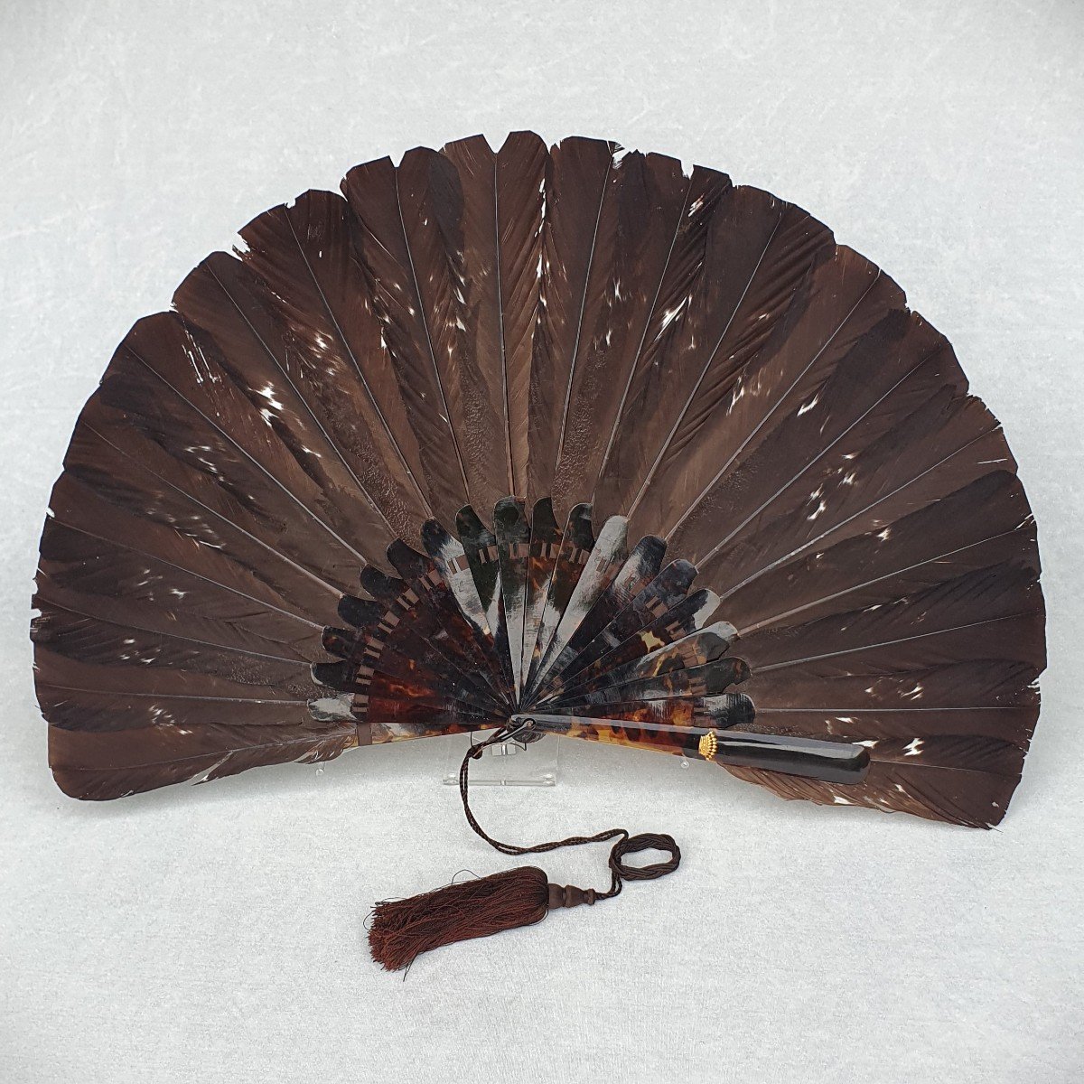 Capercaillie Feather Fan, Gold Count Crown, Circa 1890/1900