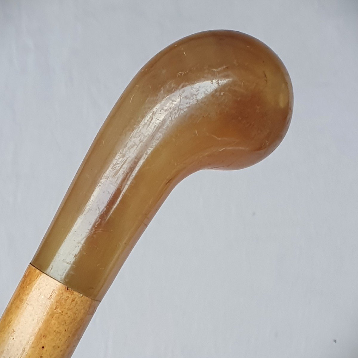 Antique Cane With Horn Knob-photo-2