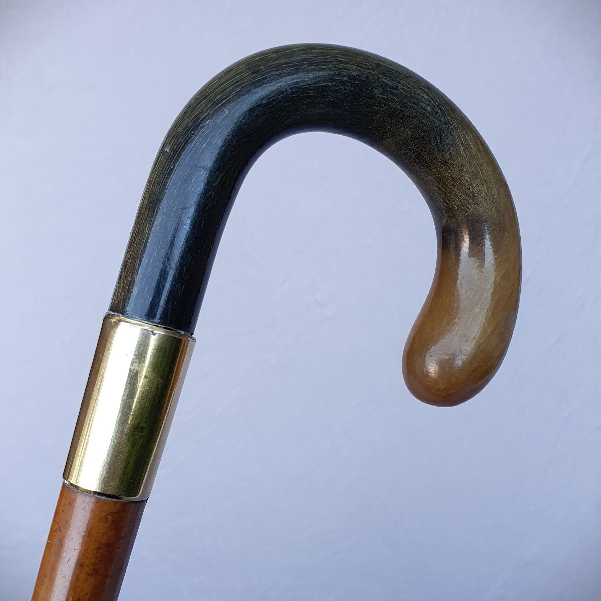 Antique Cane With Two-tone Horn Handle-photo-2