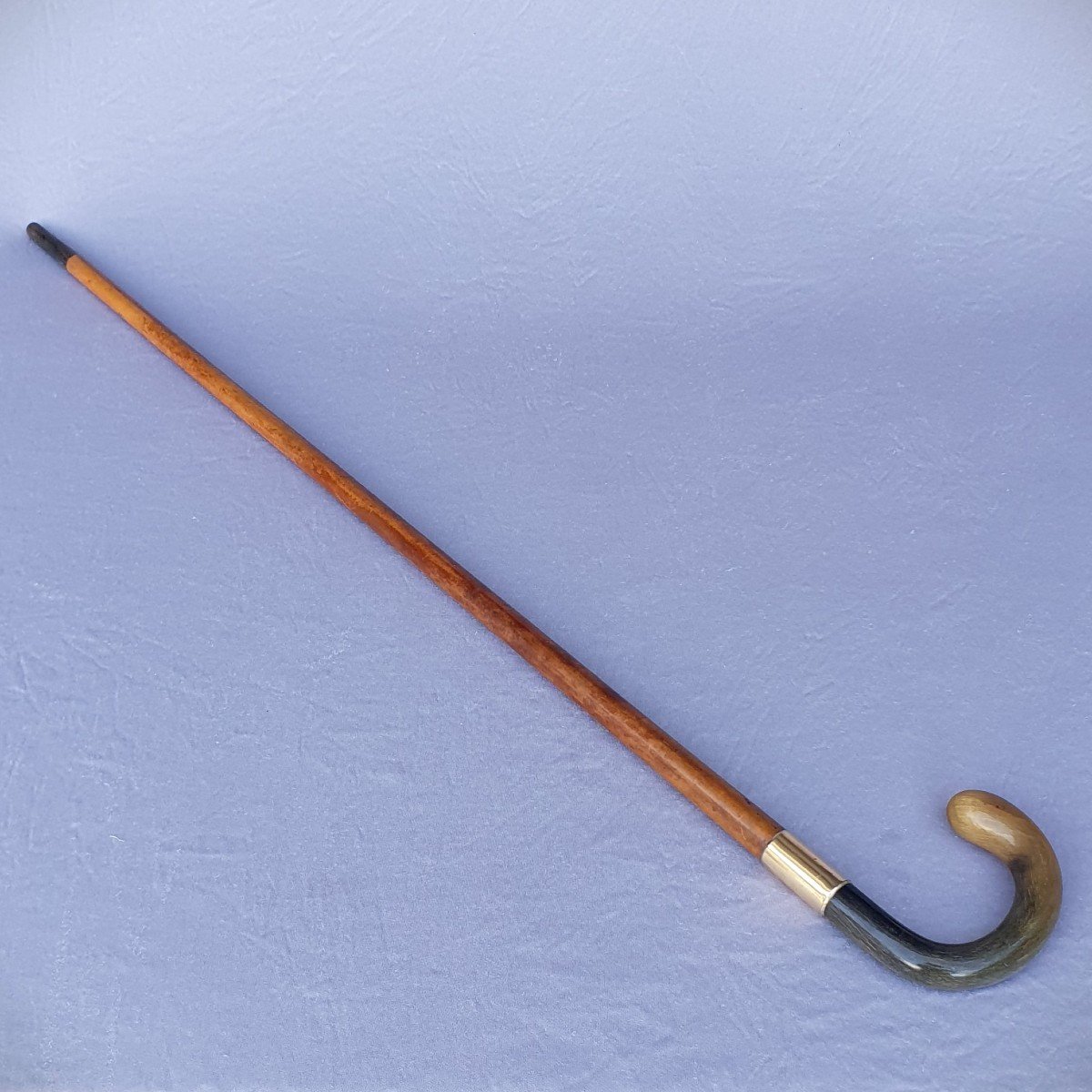 Antique Cane With Two-tone Horn Handle-photo-4