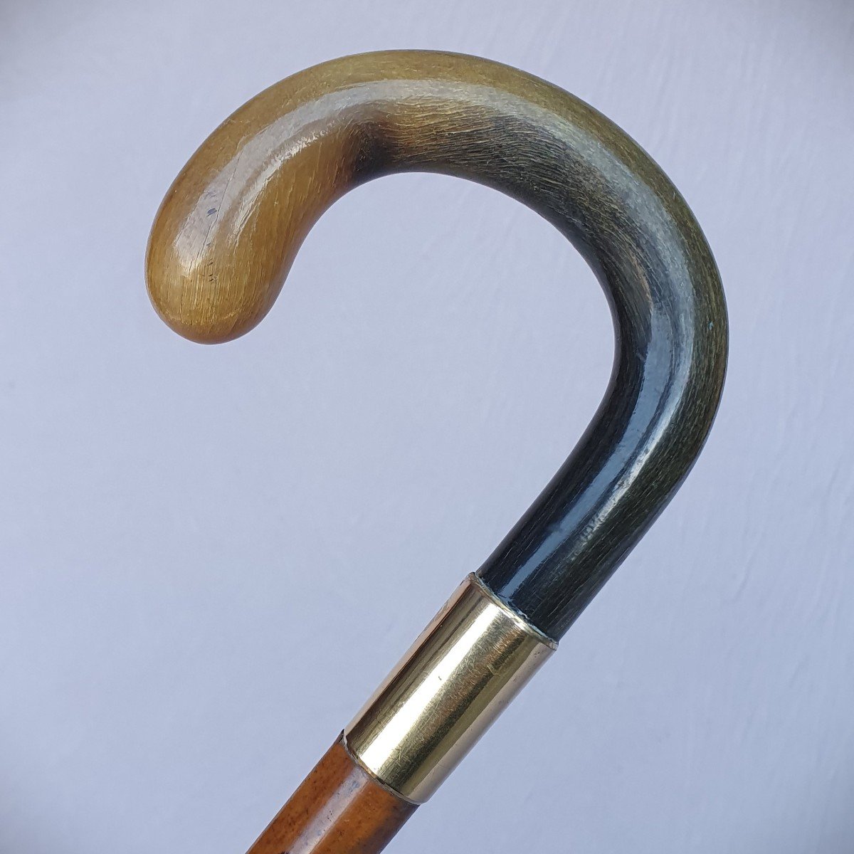 Antique Cane With Two-tone Horn Handle