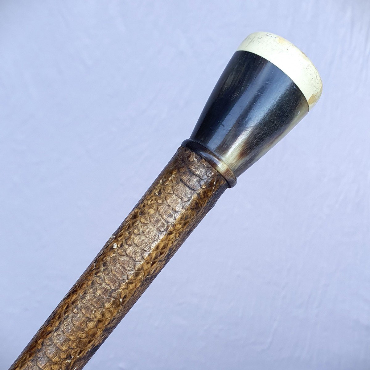 Art Deco Cane, Snakeskin And Horn-photo-2