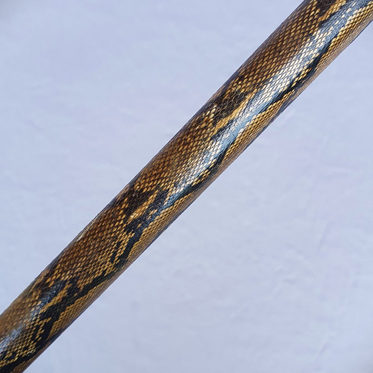 Art Deco Cane, Snakeskin And Horn-photo-3