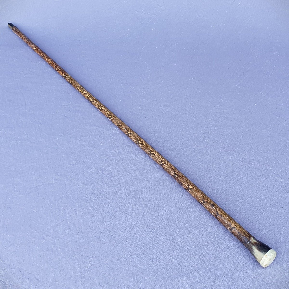 Art Deco Cane, Snakeskin And Horn-photo-4