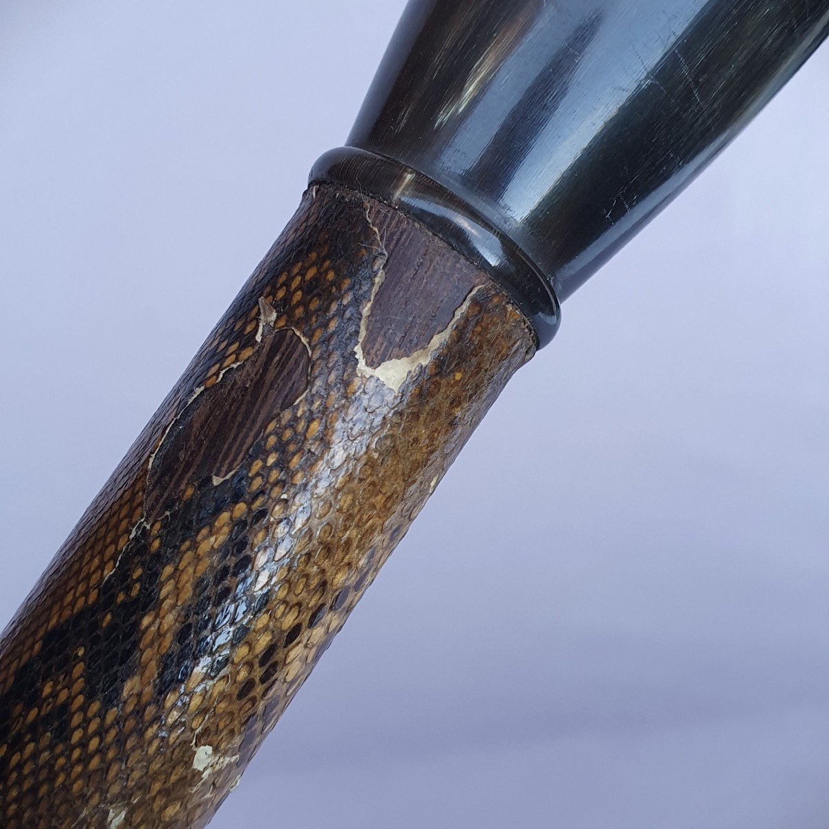 Art Deco Cane, Snakeskin And Horn-photo-1