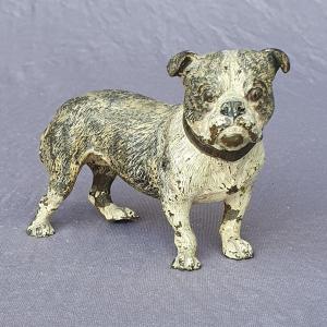 Bouledogue, Bulldog, bronze de Vienne