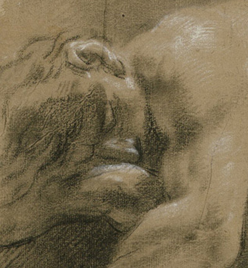 Old Master Drawing Filippo Pedrini (bologna 1763 - 1856) Academy Study Of A Male Nude-photo-3