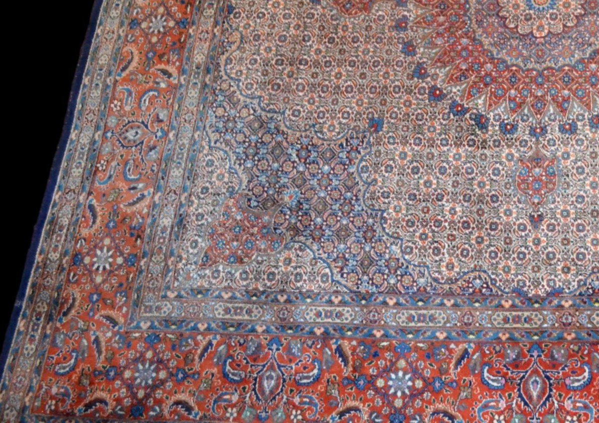 Tapis Moud Mahi carré, Persan, 300 cm x 300 cm, laine nouée main en Iran, très bon état, 1980-photo-3