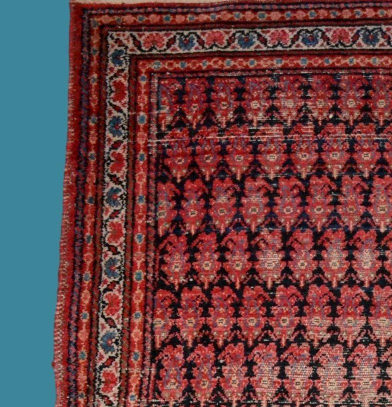 Tapis Kachkaï ancien, 131 x 198 cm, laine nouée main, Perse ( Iran), début du XXème 1920-1930-photo-3