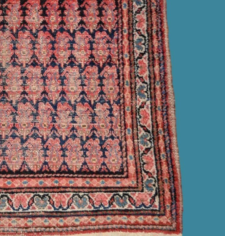 Tapis Kachkaï ancien, 131 x 198 cm, laine nouée main, Perse ( Iran), début du XXème 1920-1930-photo-3