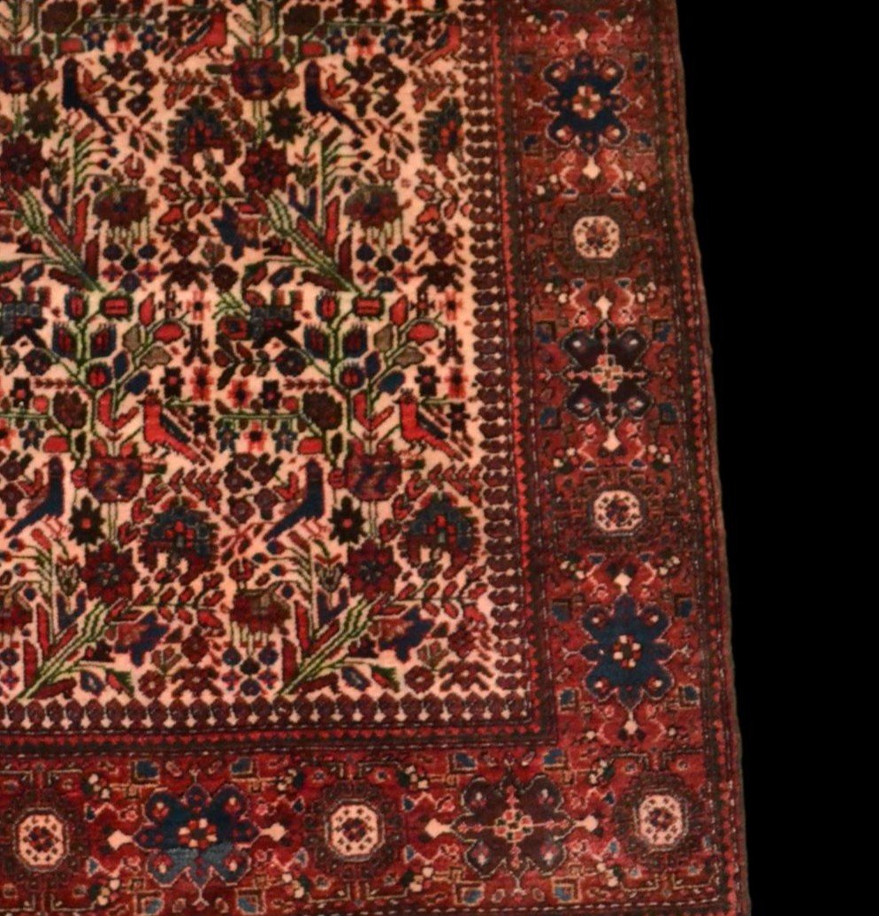 Sarouk Rug, 130 X 194 Cm, Hand-knotted Wool Around The Middle Of The 20th Century, Very Good Condition-photo-3