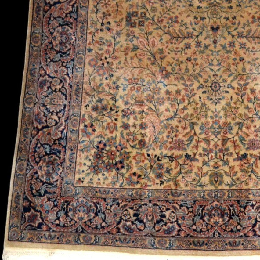 Agra, laine nouée main, 170 x 238 cm, tapis de très grand confort, Inde vers 1970, décor floral-photo-3