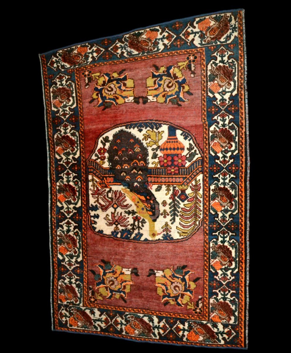 Old Afshar With Peacock, 132 X 198 Cm, Hand-knotted Wool In Iran, First Part Of The 20th Century-photo-4