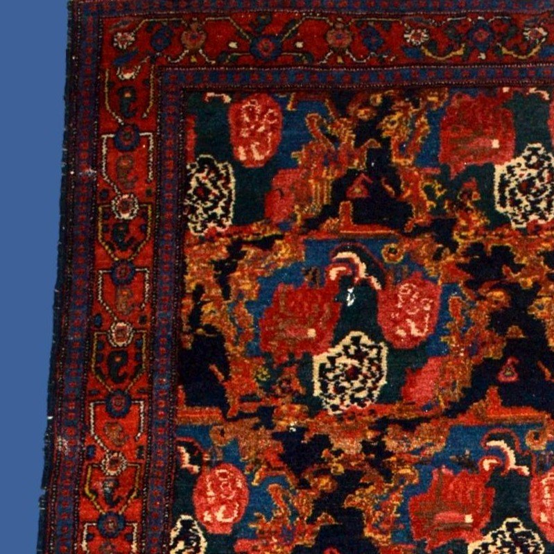 Tapis Senneh ancien, 110 x 152 cm, laine nouée main, Iran vers 1950, en très bel état d'usage-photo-3