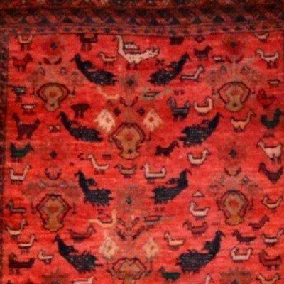 Central Asia, Rug With Animal Decoration, 115 X 193 Cm, Hand-knotted Wool 1950-1960, Very Good Condition-photo-6