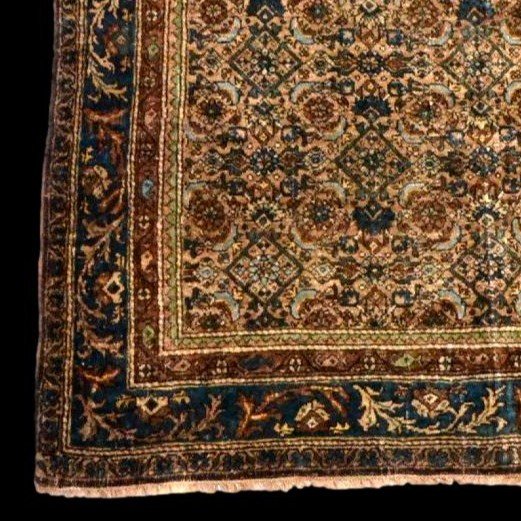 Tapis Bidjar ancien, 134 cm x 196 cm, laine nouée main en Iran, Perse, fin du XIXème siècle-photo-3