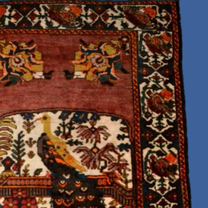 Antique Afshar Carpet With Peacock, 132 X 198 Cm, Hand-knotted Wool In Iran, First Part Of The 20th Century-photo-2