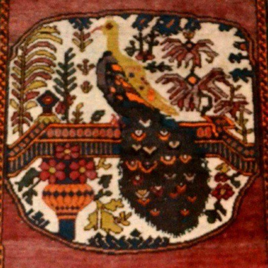 Antique Afshar Carpet With Peacock, 132 X 198 Cm, Hand-knotted Wool In Iran, First Part Of The 20th Century-photo-6