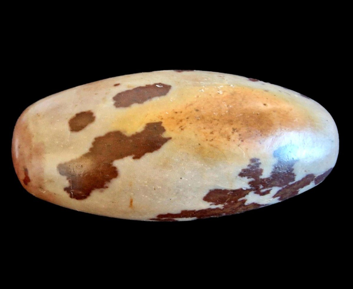 Pierre - Shiva Lingam, grande taille, Longueur 19,2 cm rivière de narmada, Inde, culte de Shiva-photo-2