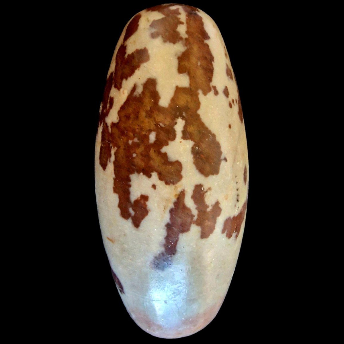 Pierre - Shiva Lingam, grande taille, Longueur 19,2 cm rivière de narmada, Inde, culte de Shiva