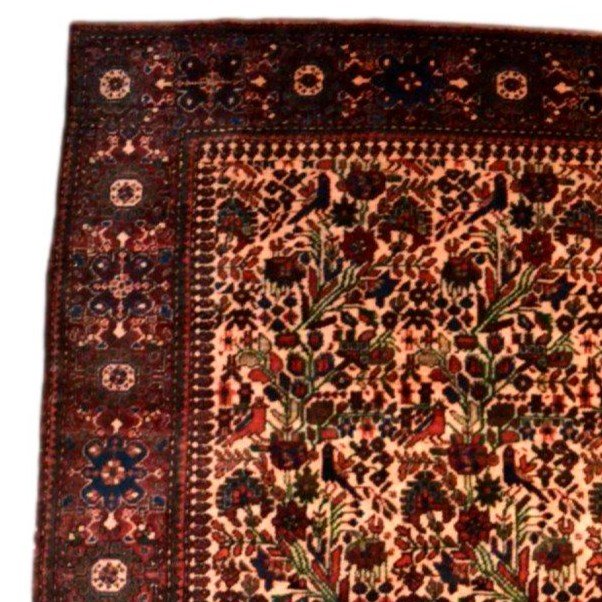 Tapis Sarough, 130 cm x 194 cm, laine kork nouée main en Iran, milieu XXème en très bon état-photo-3