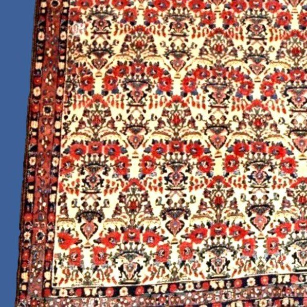 Tapis Abadeh , 162 x 220 cm, laine nouée main en Iran dans la première partie du XXème siècle-photo-3