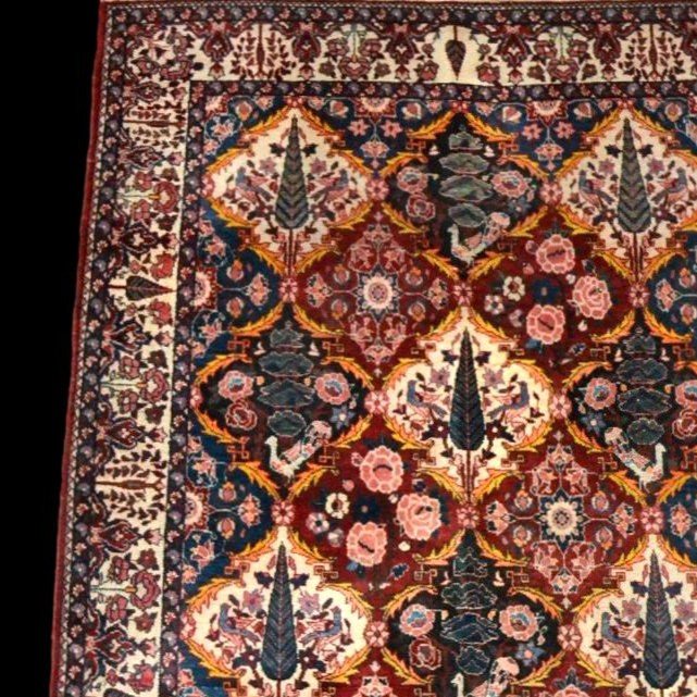 Bakhtiar "shotour" Carpet 142 X 223 Cm, Hand-knotted Wool, Iran, Kadjar Dynasty, End Of The 19th Century-photo-4