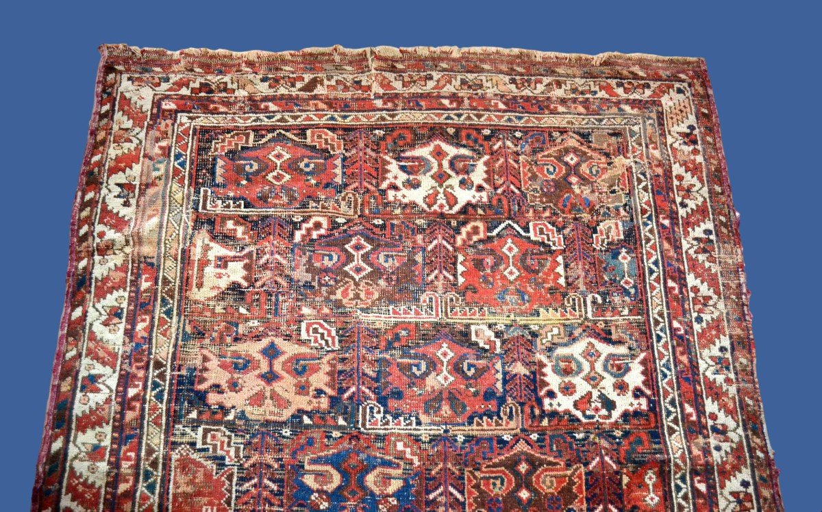 Tapis Persan Bakhtiar ancien, 125 cm x 170 cm, laine nouée main, XIXème siècle-photo-3