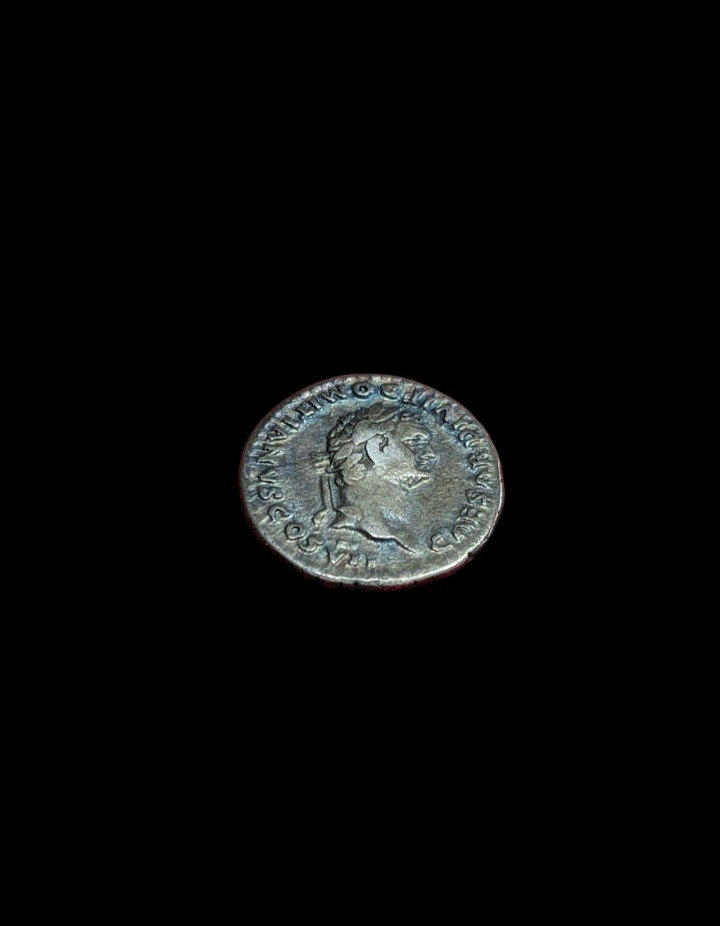 Denier De Domitien - Frappé Sous Titus - 80 De Notre ère - Argent - Numismatique-photo-2
